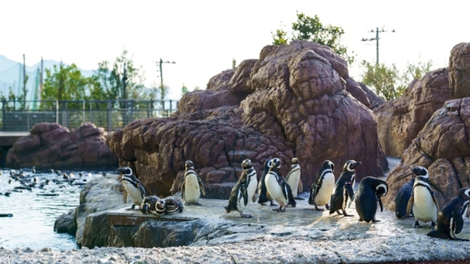 【チケット付きでお得】上越市立水族博物館「うみがたり」入場券付きプラン（〜2024.11/30）